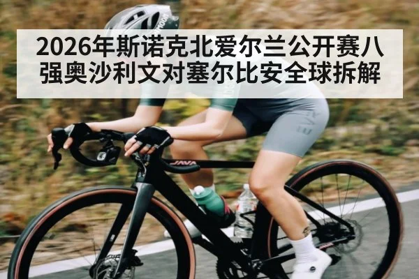 2026年斯诺克北爱尔兰公开赛八强奥沙利文对塞尔比安全球拆解