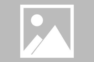 必赢体育-湖人官宣聘请火箭科学专家拉马达斯担任副总经理！也曾在鹈鹕任职